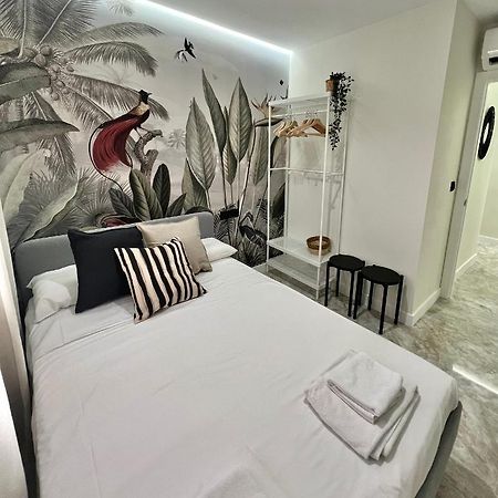 Apartamento Lucano 科爾多瓦 外观 照片